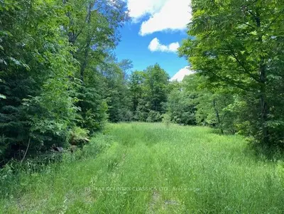 0 Ridge Road, Wollaston, On K0l 1p0