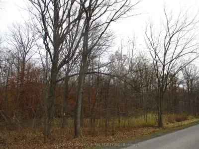 Lot 4 Spring Creek Road, Lincoln, On L0r 2a0
