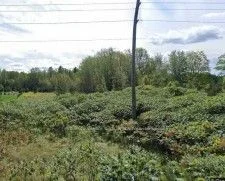 Trent River Road, Trent Hills, On, K0l 1l0