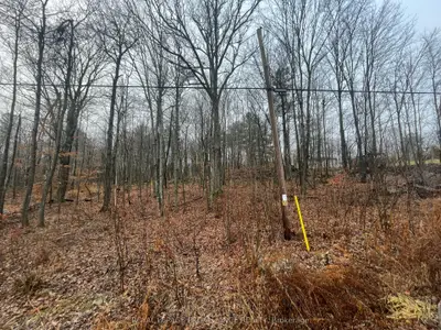 0 Blairton Road, Havelock-belmont-methuen, On K0l 1z0