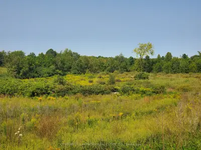 0 Jones Road, Centre Hastings, On K0k 2k0
