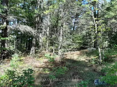 0 Pt Lt12 Con14 Hwy 37 Road, Tweed, On K0k 3j0