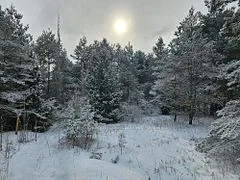 00 Dunbar Road, Alnwick/haldimand, On K0k 1c0