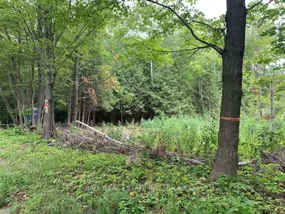 PT 98 BAXTER Road E, Trent Hills, ON K0L 1Y0