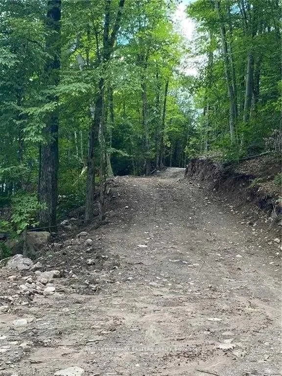 Lot 1 Bass Lake Road, Trent Lakes, On K0m 1a0