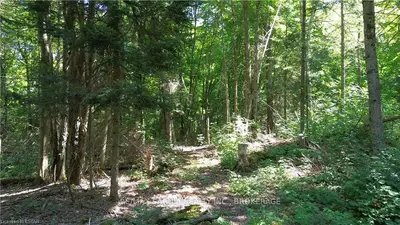 Lot 19-21 Con 3 Stisted, Huntsville, On, P0b 1m0
