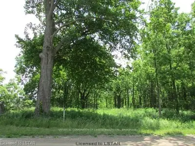 143480 Hawkins Road, South-west Oxford, On N0l 1c0