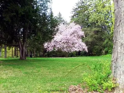 312 Thames Street Lot, Ingersoll, On N5c 2v1