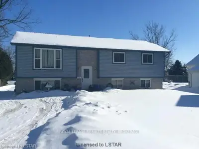 56 Potters Road, Tillsonburg, On N4g 2g8