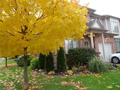 499 TEEPLE Terrace 38, London South, ON N6J 1T1