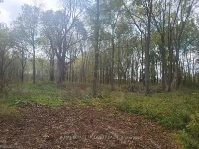 143480 Hawkin Road, South-west Oxford, On On N0l 1c0