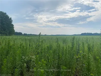 14702 Currie Road, Dutton/dunwich, On N0l 1j0