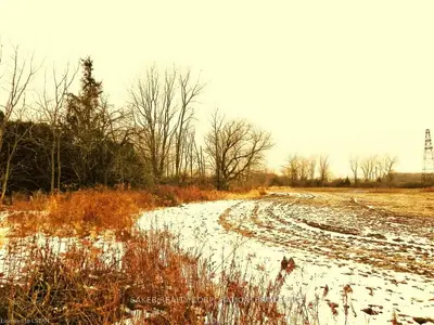 35922 Orchard Street, Southwold, On