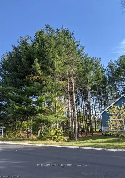 697 REGENT Street, Strathroy-Caradoc, ON N0L 1W0