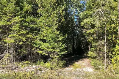 PART 34 WHITE CEDAR Road, Northern Bruce Peninsula, ON N0H 1Z0