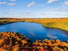 1171 Jordan Lake Road, Highlands East, On K0l 2a0