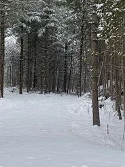 32 Crookston Road, Centre Hastings, ON K0K 2K0