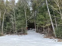 Lot 10 King's Wharf Road, Kawartha Lakes, On K0m 1l0