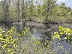 Pt Lt 12 Con 7, Addington Highlands, On, K0h 1z0