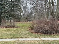 42 Dorset Street E, Port Hope, On L1a 2r6