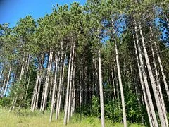 938267 Airport Road W, Mulmur, On L0m 1k0