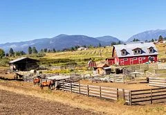 3180 Mission Wycliffe Road, Out Of Area, Bc V1c 7c8