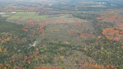 Lot 8 Hopkins Line, Kawartha Lakes, On K0m 1a0