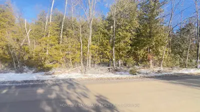95 Baxter Road E, Trent Hills, On K0l 1y0