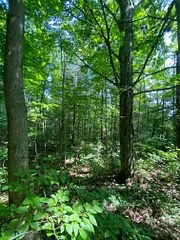 2141 Katchewanooka Court, Selwyn, ON K0L 2H0