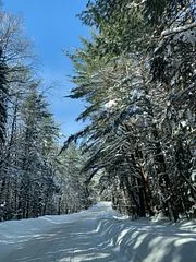 PART LOT 10 Dwight Beach Road, Lake of Bays, ON P0A 1H0