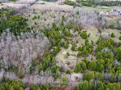 0 Dunbar Drive, Kawartha Lakes, On K0m 1n0