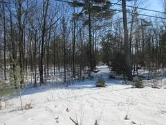 0 Hwy 36, Kawartha Lakes, On, K0m 1a0