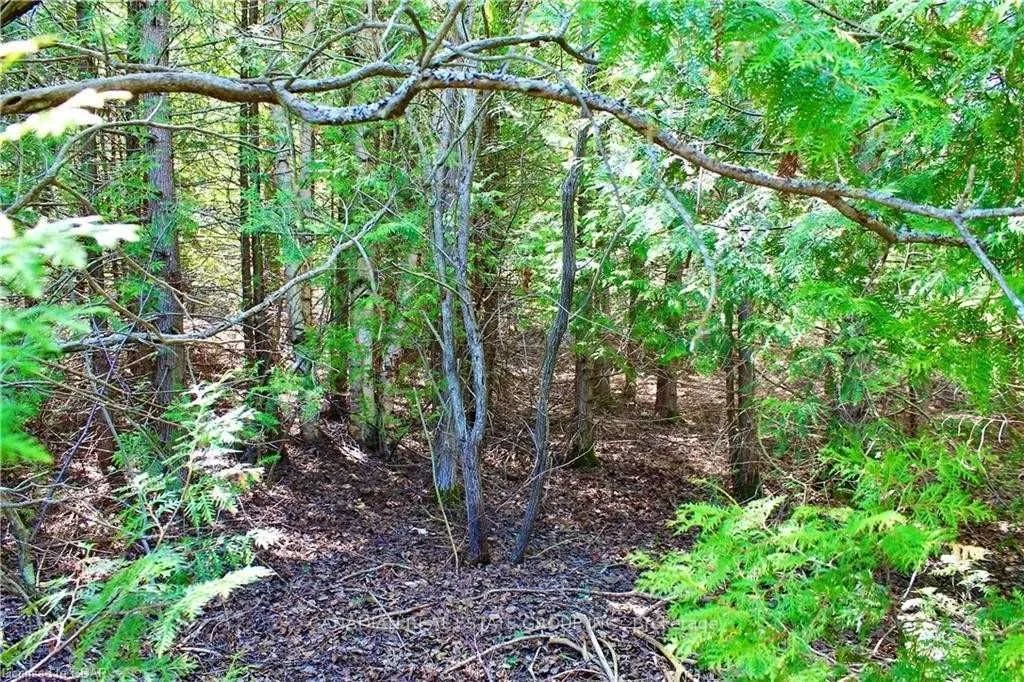 Lot 43 Maple Golf Crescent, Northern Bruce Peninsula, On N0h 2r0