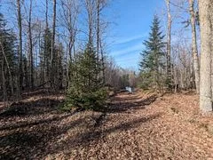 11146 ON-118 Highway, Dysart et al, ON, K0M 1J1