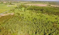 2034 County Road 5 Road, Prince Edward County, On K0k 2t0