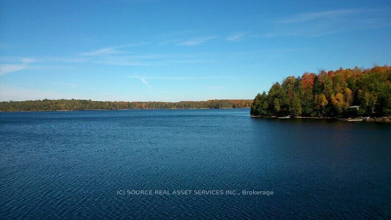 191 Beaver Lake Road, Trent Lakes, On K0l 1j0