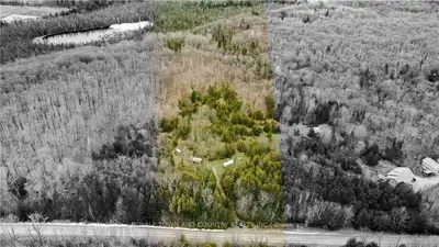267 Hilton's Point Road, Kawartha Lakes, On K0m 2l0