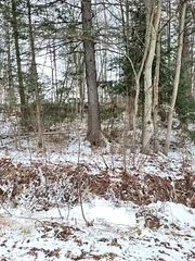 0 Talon Lake Road, Bonfield, On P0h 2e0