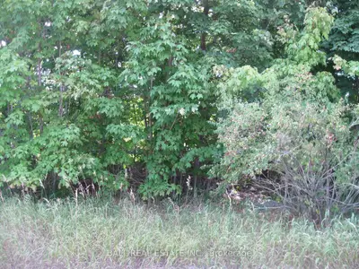 00 County Road 45, Trent Hills, On, K0l 1y0