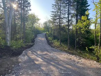 PT LT 24 PT 1 County road 9, Alnwick/Haldimand, ON, K0K 2X0