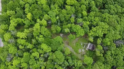 203 North Baptiste Lake Road, Hastings Highlands, On K0l 2s0