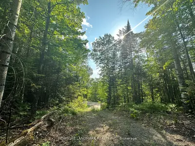 2820 Glamour Lake Road, Highlands East, On K0m 1r0