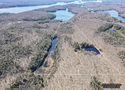Lot 11 Concession 14 Road, Minden Hills, On K0m 2k0