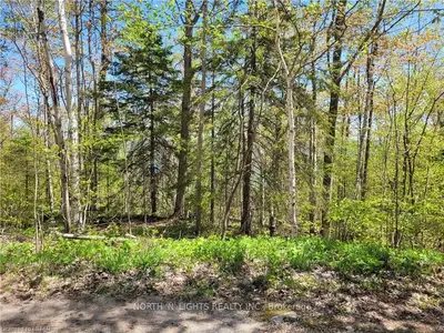 Lot 8 Harkins Rd Road, Northern Bruce Peninsula, On, N0h 1z0