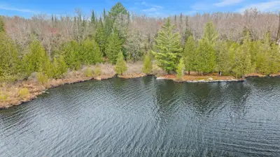 Lot 0 Crego Lake Road, Kawartha Lakes, On K0m 2a0