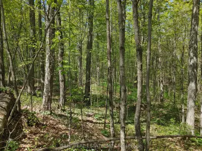 0 County Road 504, North Kawartha, On, K0l 1a0
