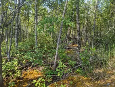 105 Corey Crescent, Northern Bruce Peninsula, On N0h 2r0