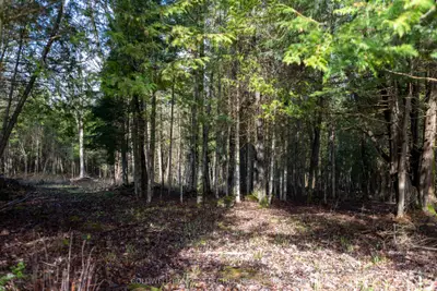 Pt#3 County Road 46, Havelock-belmont-methuen, On, K0l 1z0