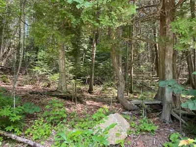 0 Cross Country Road, Hastings Highlands, On K0l 1c0