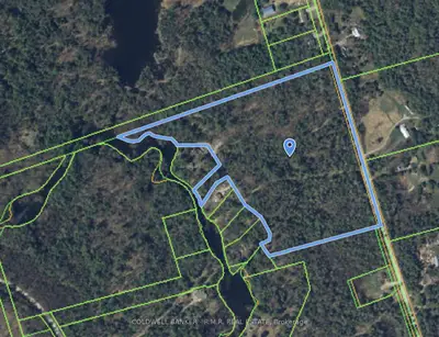 Tully's Road, Trent Lakes, On, K0m 1a0